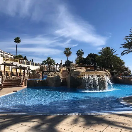 Pool Paradise